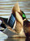 Krzyżówka - ♂ (Anas platyrhynchos) - taki ładny a wstydliwy